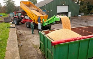 Duitse+korrelma%C3%AFs+opbrengst+een+derde+lager