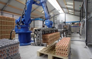 ABN+Amro%3A+foodsector+maakt+inhaalslag+robotisering