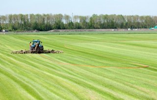 Grasland%2C+een+duurzaam+gewas