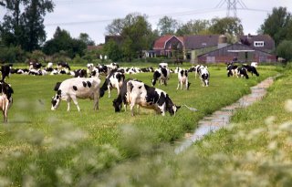 Maak+%C3%A9%C3%A9n+geluid+als+melkveehouders