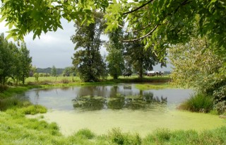 %27Ik+wil+leren+hoe+ik+natuurbeheer+praktisch+kan+invullen%27
