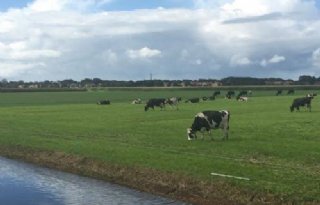 Rabobank+ziet+dat+boer+weer+geld+verdient