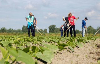 FNP+wil+fosfaatvrijstelling+voor+biologische+boer