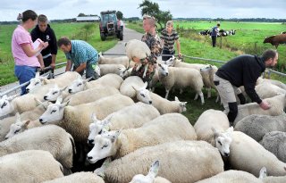 Jeugdzorg+op+zorgboerderij+in+basis+goed