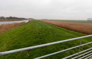 %27Landbouwportaal+biedt+maatwerk+voor+waterkwaliteit%27