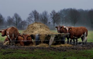 LNV+reageert+op+vragen+over+fosfaatrechten