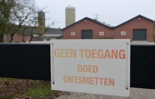 Uitloop+blijft+grootste+risico+vogelgriep