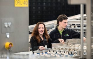 Champignonteelster+handig+met+personeel+maar+niet+in+de+liefde