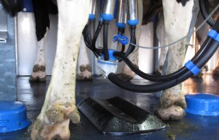 Hoge+melkprijs%2C+maar+minder+nabetaling+FrieslandCampina