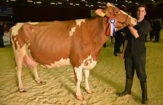 Geertje+408+wint+in+Zwolle