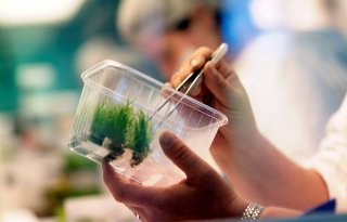 Einde+plantoctrooi+weer+stap+dichterbij