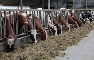 A%2Dware+komt+met+nieuwe+melkstroom+voor+opstallers