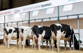 CRV+betaalt+leden+4%2C1+miljoen+euro
