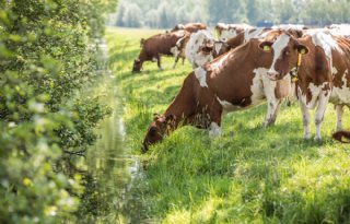 Meer+stikstofruimte+uit+PAS+voorlopig+van+de+baan