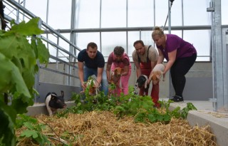 Varkenshoff+doet+crowdfunding+er+niet+even+bij