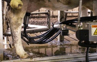 Leverancier+melkrobot+moet+schade+van+boer+betalen