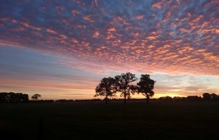 Meimaand+is+de+warmste+in+drie+eeuwen