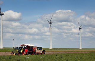 IJsselmeerpolders+bleken+goud+voor+de+land%2D+en+tuinbouw