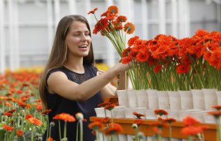 Consument+verwacht+dat+bloem+zeker+acht+dagen+mooi+is