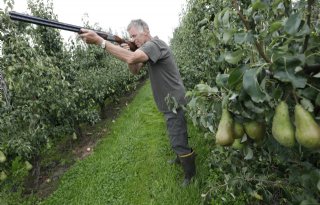 Mezenschade+Gelderland+ook+na+2018+vergoed