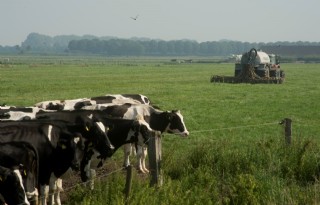 Mestmarkt+wordt+miljoenen+aan+boetes+opgelegd