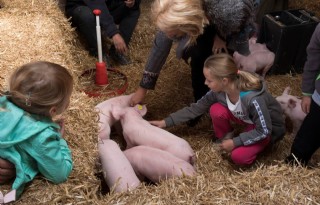 %27Weekend+van+het+Varken+is+al+het+werk+waard%27