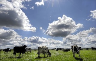 Friese+oppositie+wil+voor+2030+duurzame+sector