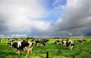 %27Nog+geen+afrekening+via+Kringloopwijzer%27
