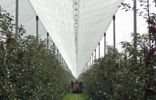 LTO+West+Betuwe+bezorgd+over+teeltondersteuning