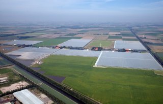 Overheden+steggelen+over+volume+huisvesting+seizoensarbeiders