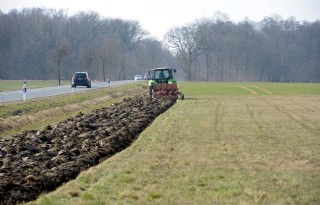 Gelders+College+steunt+reparatie+scheurverbod+grasland+Veluwe