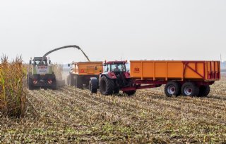 50+ton+mais+van+een+hectare+is+fabeltje