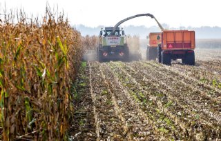 Gemiddeld+bijna+20+procent+minder+snijma%C3%AFs