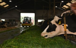 Derde+Koeien+%26amp%3B+Kansen+heeft+genoeg+eiwit+eigen+land