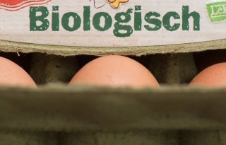 Niet+heel+Salland+wil+in+tien+jaar+biologisch