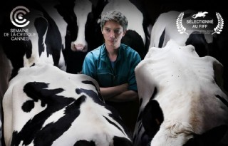 Frans+filmdrama+belicht+strijd+tegen+ruiming+veestapel