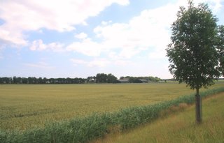 Provincie+koopt+boeren+Rhoon+uit