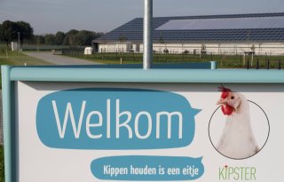 Kipster+wil+bedrijf+in+Belgi%C3%AB+opzetten