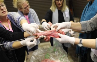Na+CRV%2DBoerindag+kengetallen+met+man+doornemen