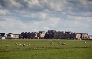 Noord%2DHollandse+melk+voor+weidevogels