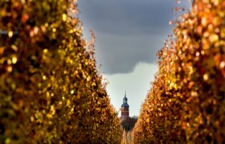 Meerburg+zeven+jaar+landbouwgezicht+Gelderse+VVD