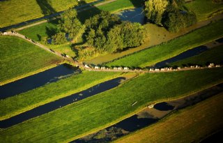 Wereld+Natuur+Fonds%3A+GLB+houdt+natuurverlies+in+stand