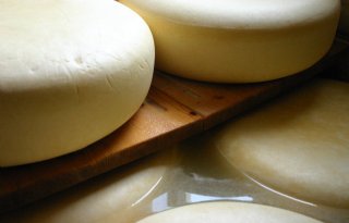 Boerenkaasmarkt+is+nog+altijd+gezond