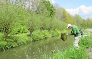Waterkwaliteit+in+Utrecht+verbetert