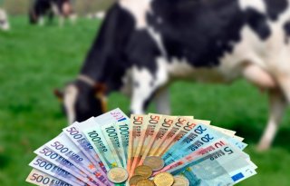 Onzekerheid+houdt+handel+in+fosfaatrechten+op