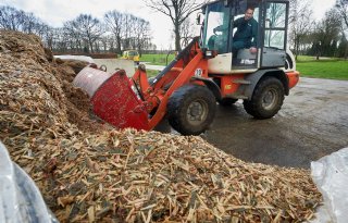 Boer+vindt+dat+voederwaarde+sorghum+tegenvalt