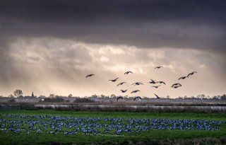 Gelderland+geeft+fout+taxaties+toe