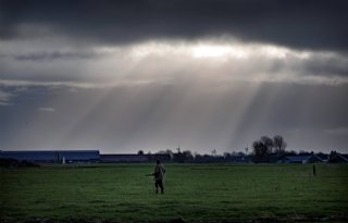 Groningen+legt+jacht+aan+banden