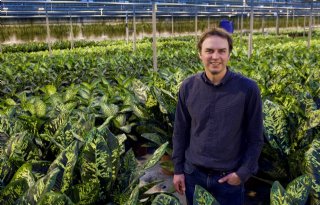 Elstgeest+Potplanten+combineert+duurzaamheid+en+innovatie