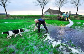 Goede+omstandigheden+voor+veldmuizen